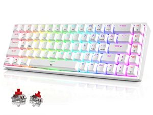 TECURS Wireless/Bluetooth/Wired 65% Mechanical Gaming Keyboard