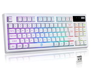 ZJFKSDYX L87 Wireless Gaming Keyboard
