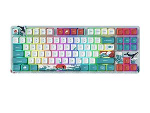 COSTOM XVX M87 TKL Mechanical Keyboard