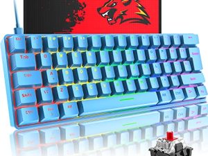 60% Mechanical Gaming Keyboard Compact Type C Wired 62 Keys LED Backlit USB Waterproof Keyboard 22 Chroma RGB Backlight Full Anti-ghosting Keys Compatible with PS4/PS5/Xbox/PC (Blue/red Switch)